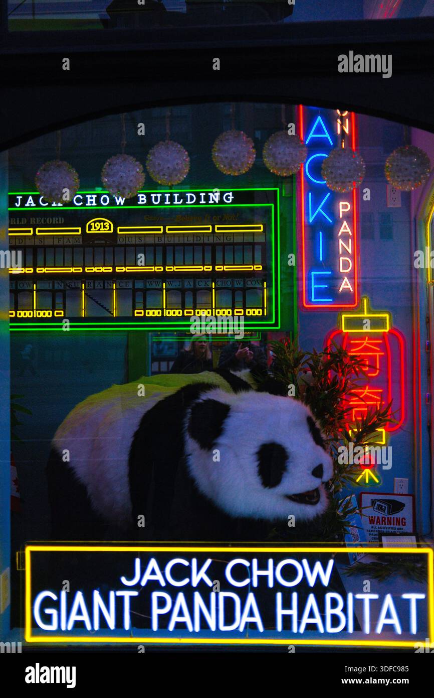 Una vetrina presso la Jack Chow Insurance lungo West Pender Street a Chinatown, Vancouver, British Columbia. Foto Stock