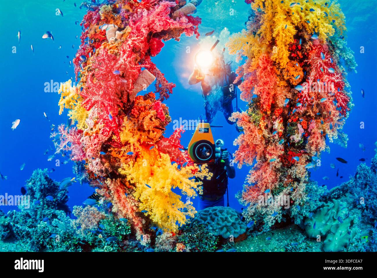 Neil McDaniel e Gary Bridges di Wetfilm Productions lavorano sott'acqua sulla Maru di Fujikawa, un naufragio giapponese della seconda guerra mondiale nella laguna di Truk (Chuuk), Foto Stock