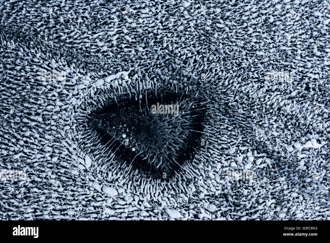 Piccole montagne di ghiaccio bianco intorno a un gruppo di punte di ghiaccio al centro sopra il ghiaccio nero sulla superficie ghiacciata del lago - primo piano Foto Stock