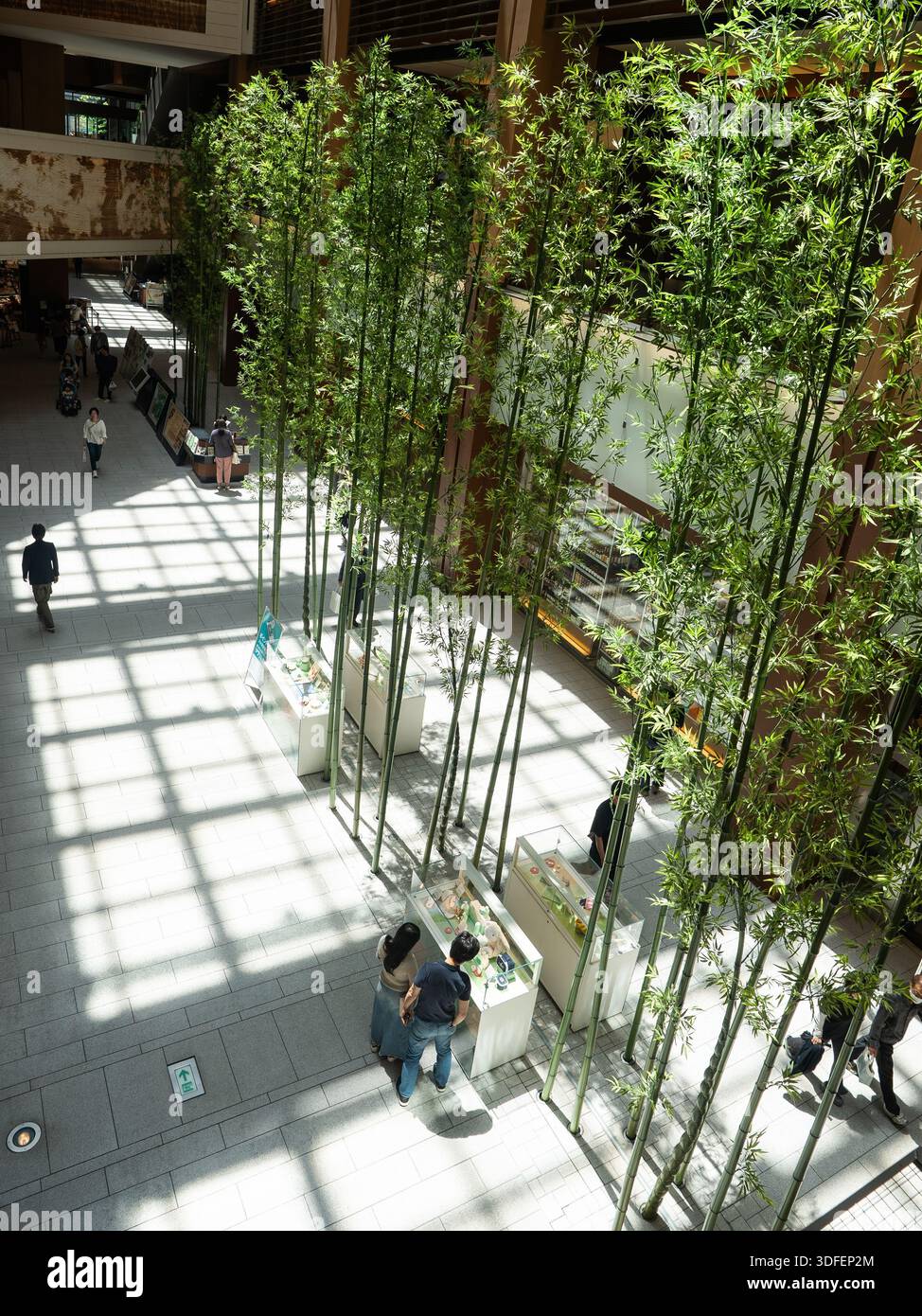 Vista di luci e ombre giocano sul pavimento, accentuando il design moderno con alberi in piantagioni, creando una tranquilla oasi urbana, Tokyo, Tokyo, Ja Foto Stock