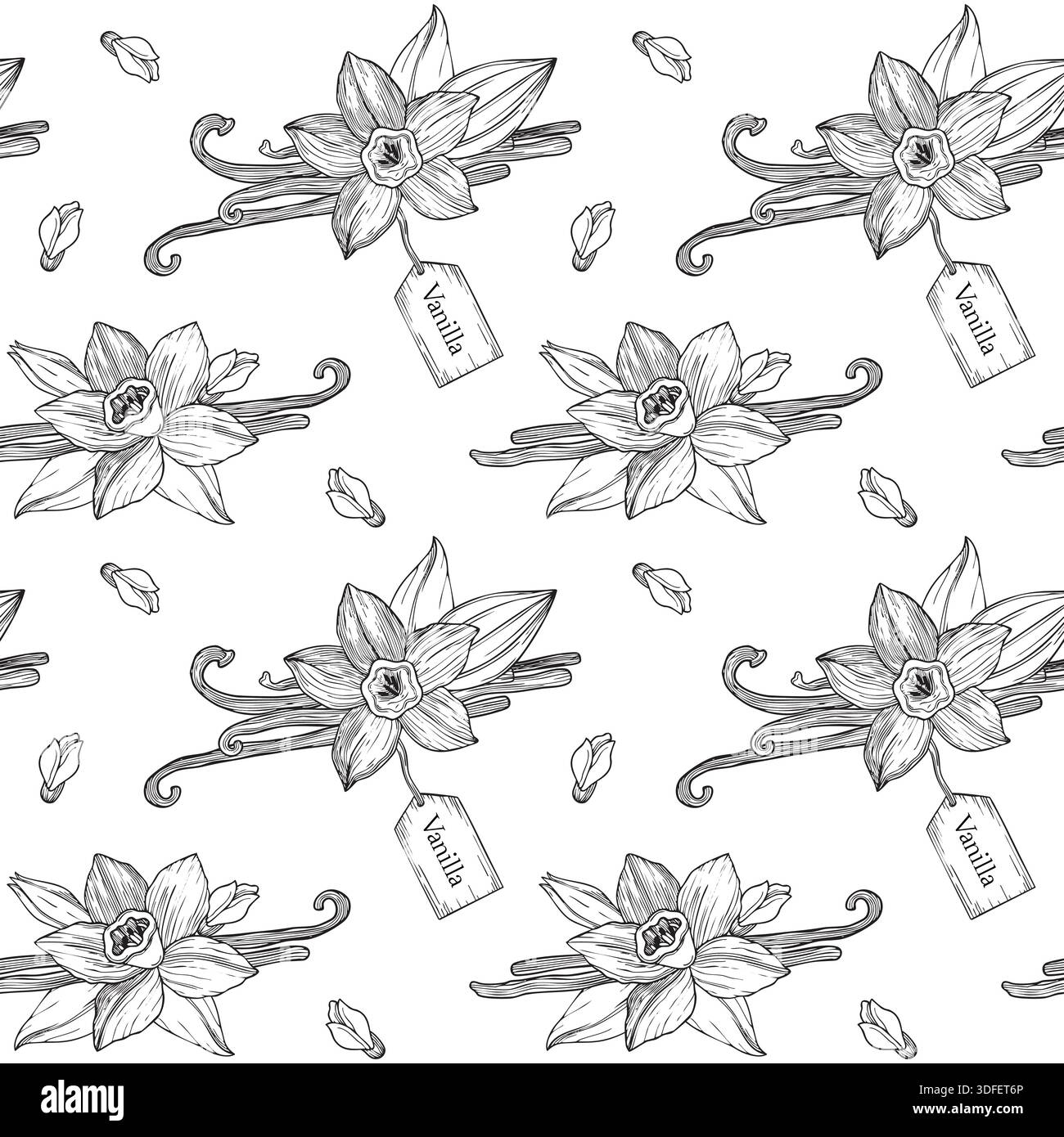 Disegno a mano senza cuciture realizzato con fiori e panini di vaniglia in fiore e baccelli di vaniglia, disegno botanico dettagliato Illustrazione Vettoriale