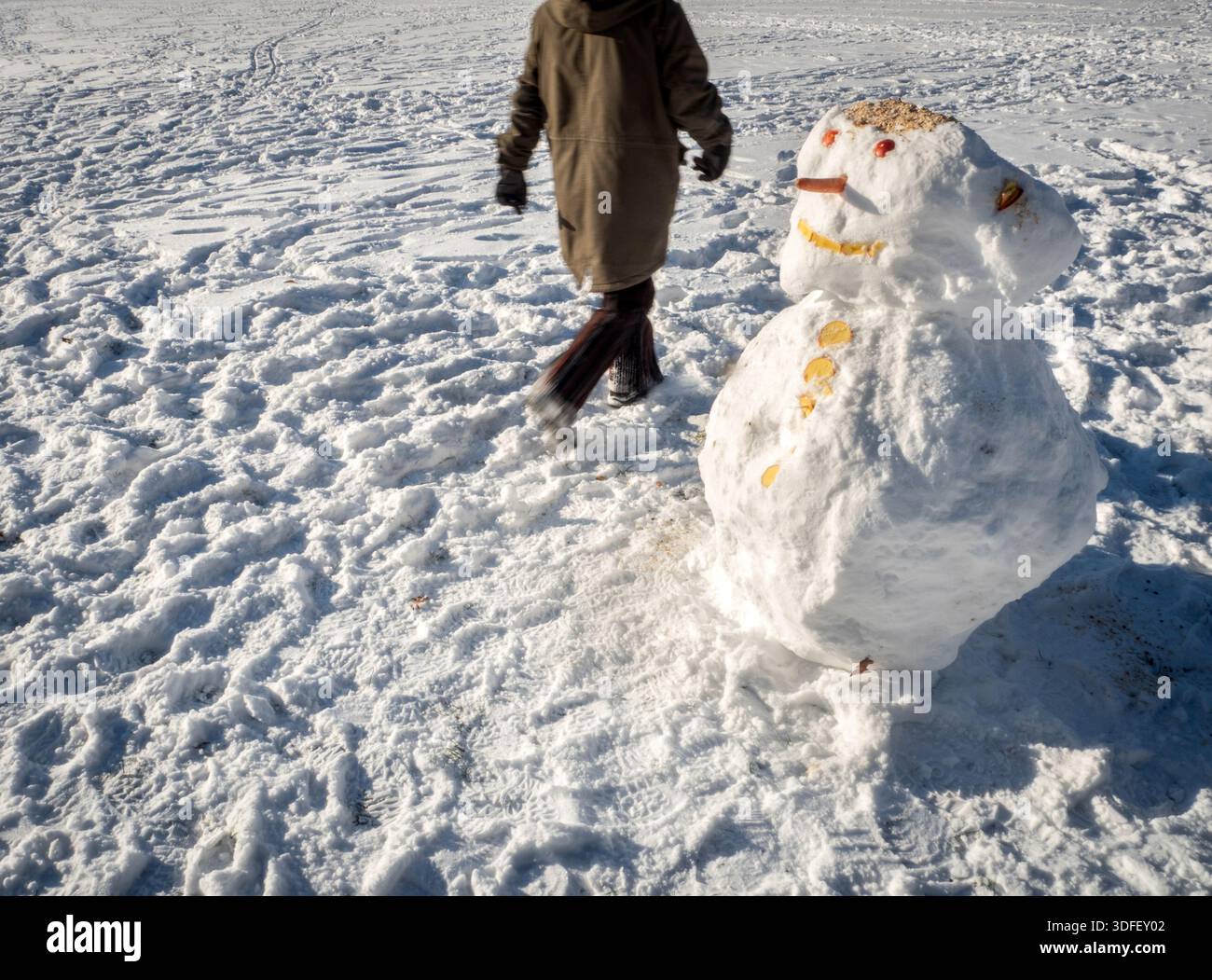 Un membro del pubblico passeggia davanti a un pupazzo di neve costruito in un parco pubblico di Halle (Saale), Sassonia-Anhalt, Germania Foto Stock