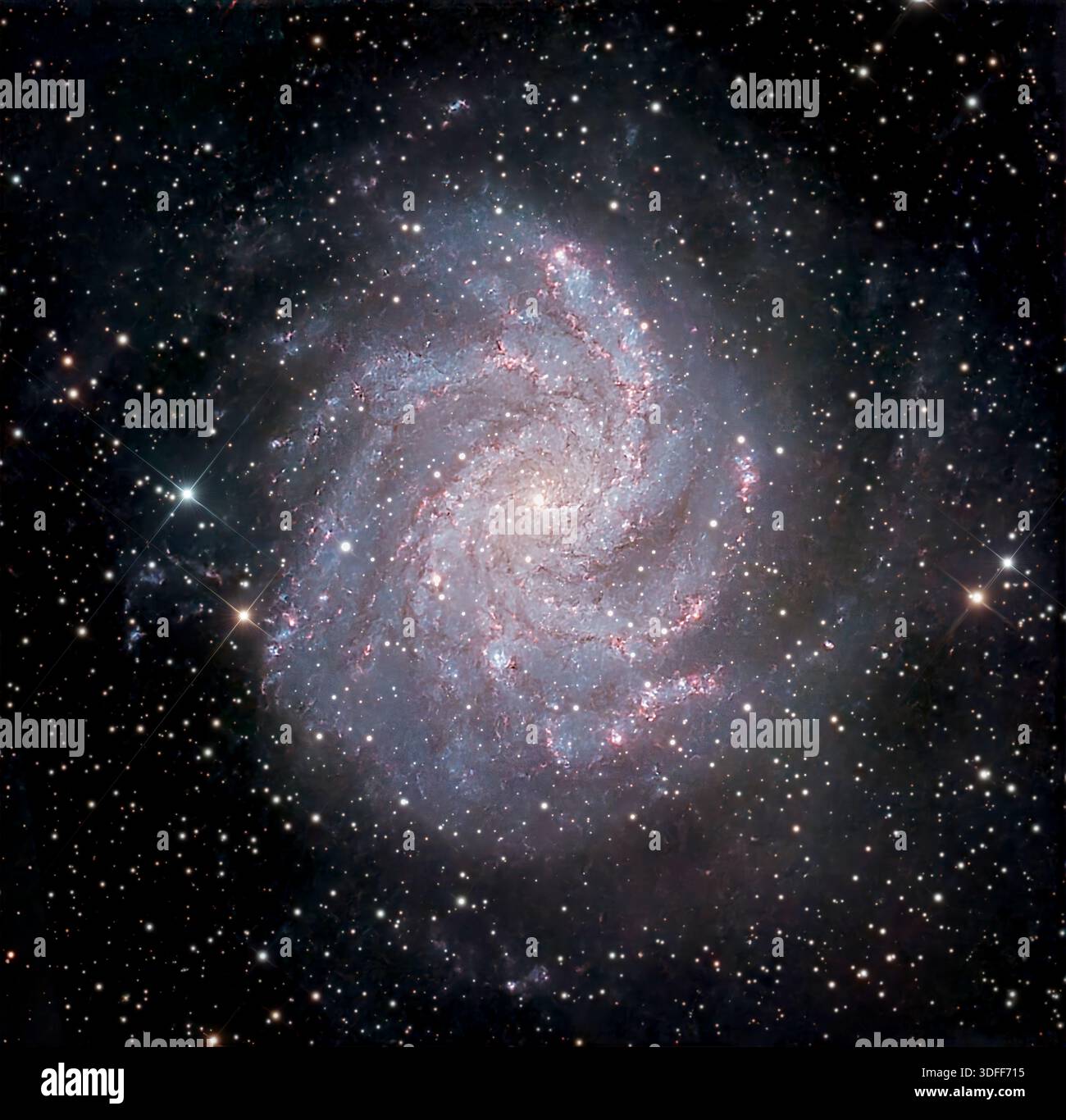 Galassia dei fuochi d'artificio (NGC 6946), una galassia a spirale intermedia nella costellazione di Cefeo e Cigno. Foto Stock