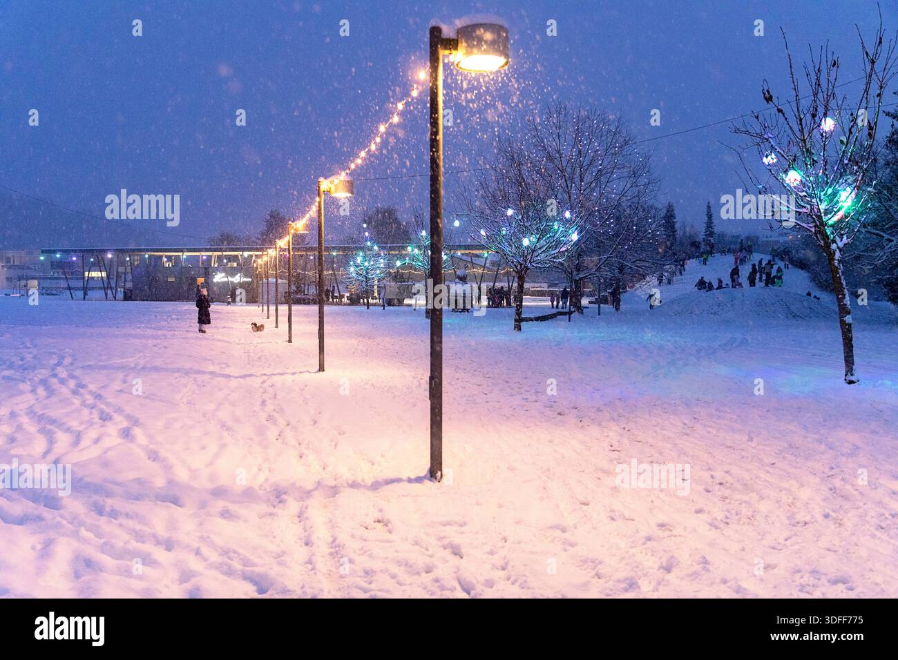 Città di Domzale durante le forti nevicate con bellissime decorazioni natalizie, luci natalizie sugli alberi, nel parco, alberi di natale, donna con il suo cane Foto Stock