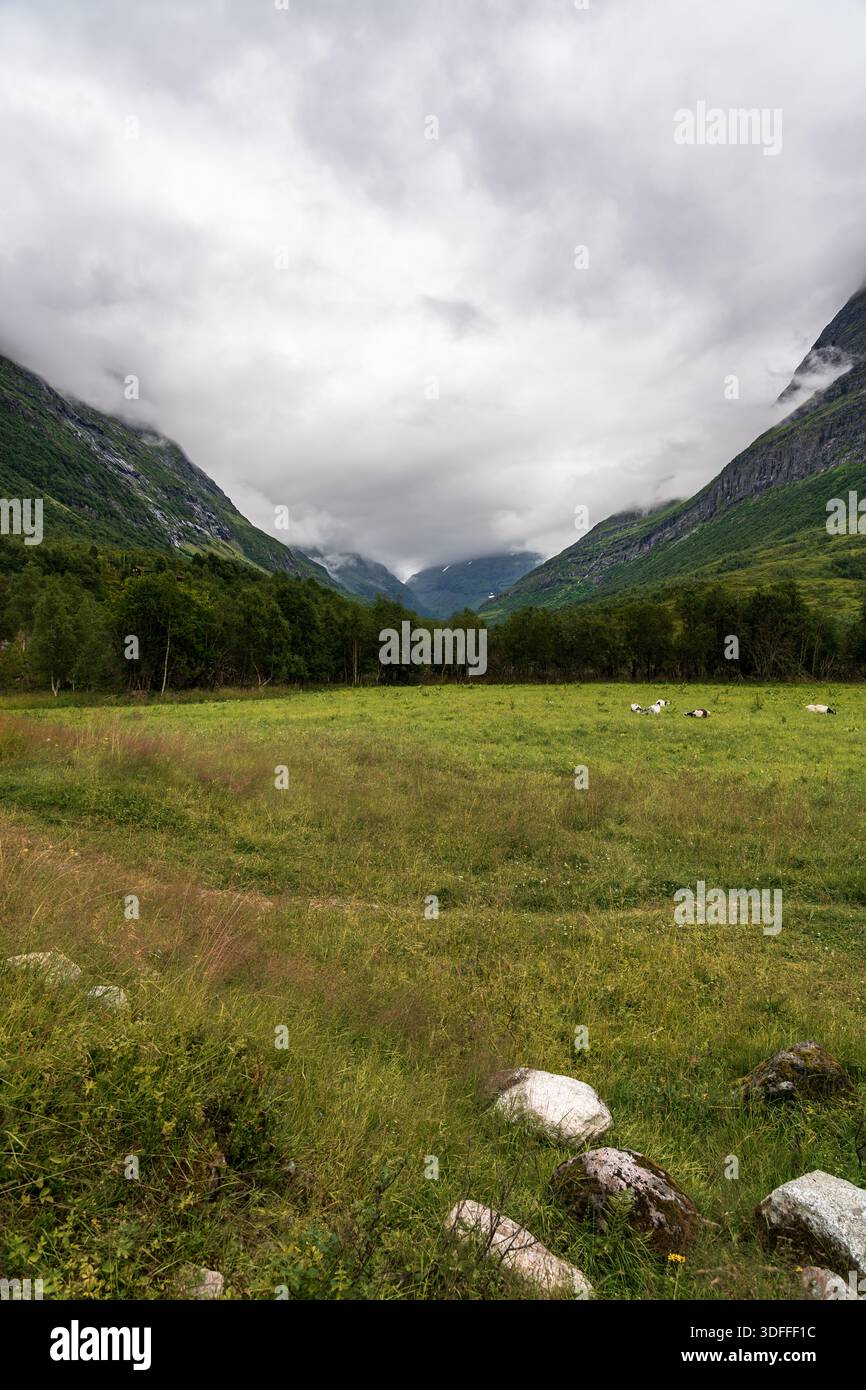Paesaggio spettacolare della Valle Innerdalen in Norvegia. Il cielo è pieno di nuvole mentre il verde circonda le capre che pascolano liberamente nella valle di montagna Foto Stock