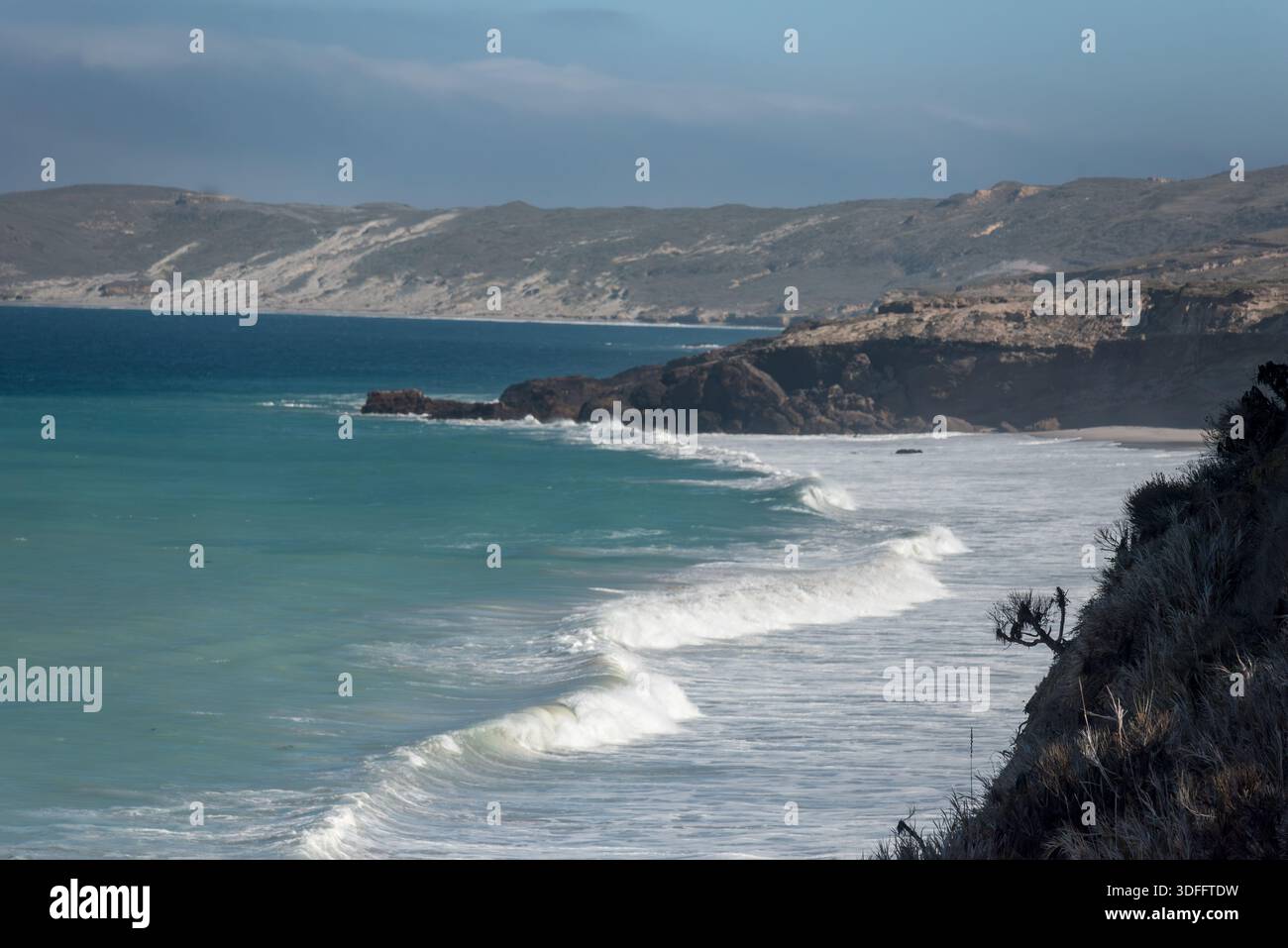 Santa Rosa Island, Channel Islands National Park, California, USA. Foto Stock