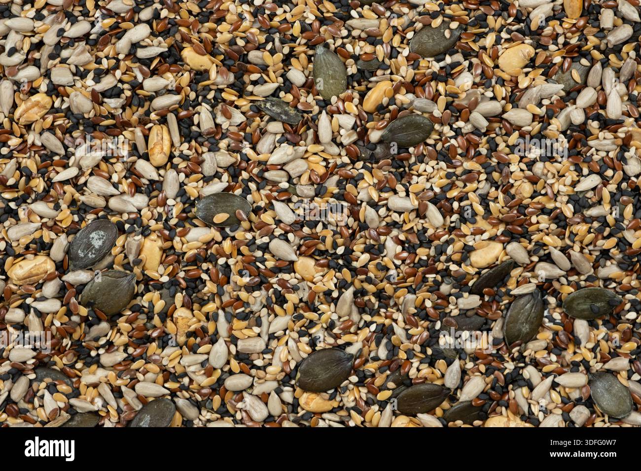Stesa piatta di vari semi sani per sfondo o carta da parati. Foto Stock