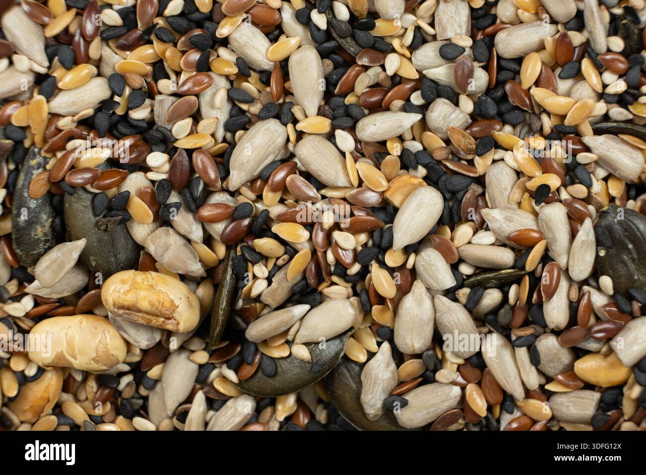 Diversi semi di superfood mescolati con zucca girasole e semi di lino. Foto Stock