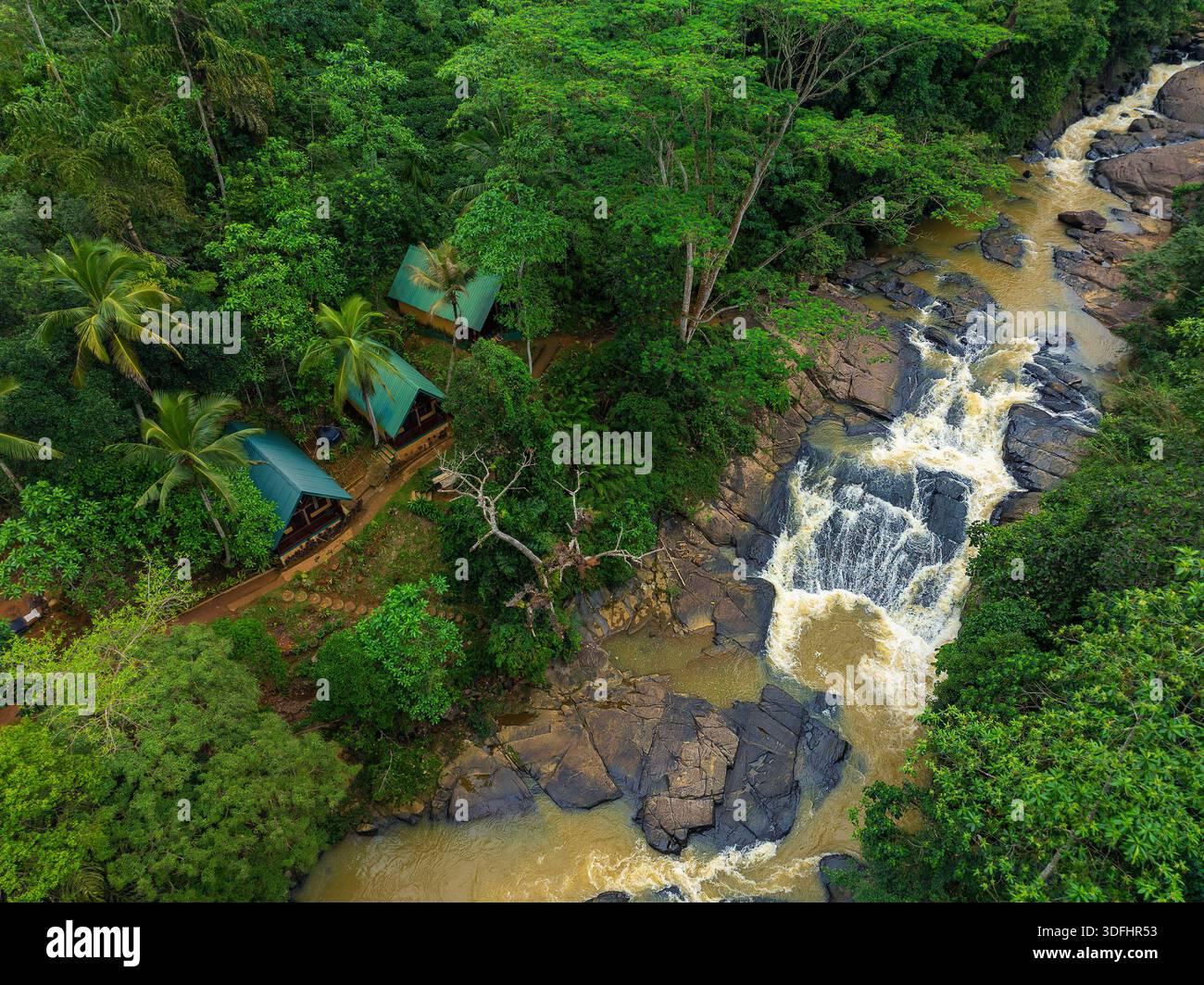 Vista aerea del fiume selvaggio che scorre attraverso la lussureggiante foresta pluviale tropicale, Sinharaja, Sri Lanka Foto Stock