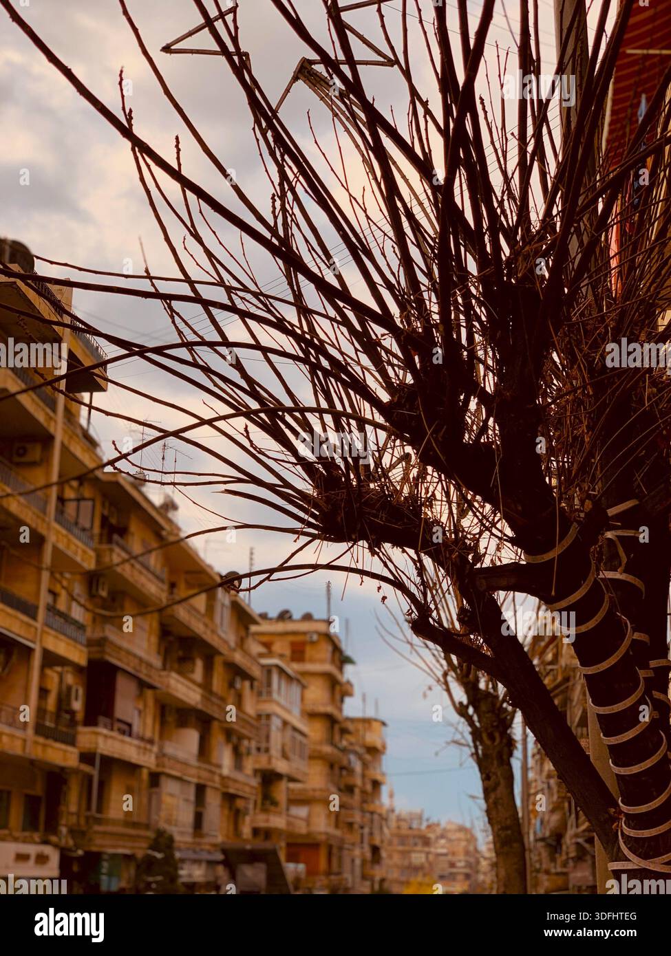 Pioggia fredda che sussurra attraverso alberi silenziosi. La natura nel suo stato d'animo freddo e piovoso. Ogni foglia autunnale che si allontana dall'albero raccontava una storia di tempo che passava. - Immagine stock catturata con smartphone
