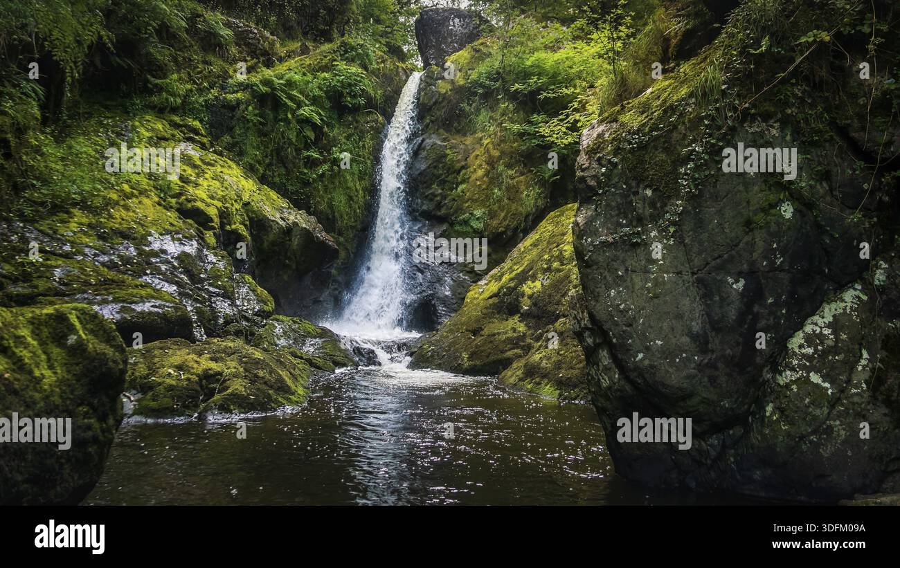 Piccola cascata su un ruscello di montagna o creek, tra rocce di muschio, acqua che scorre tra i sassi, autunno, Wicklow, Irlanda Foto Stock