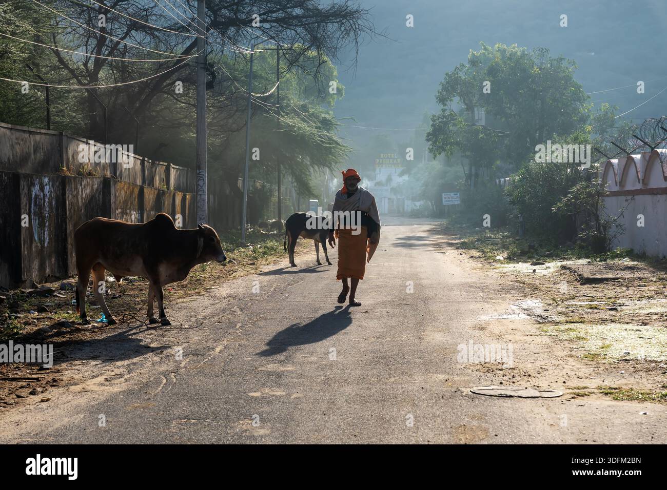 Pushkar, Rajasthan, India - 5 novembre 2025: Uomo non identificato che cammina in una strada a Pushkar, Rajasthan, India. Foto Stock