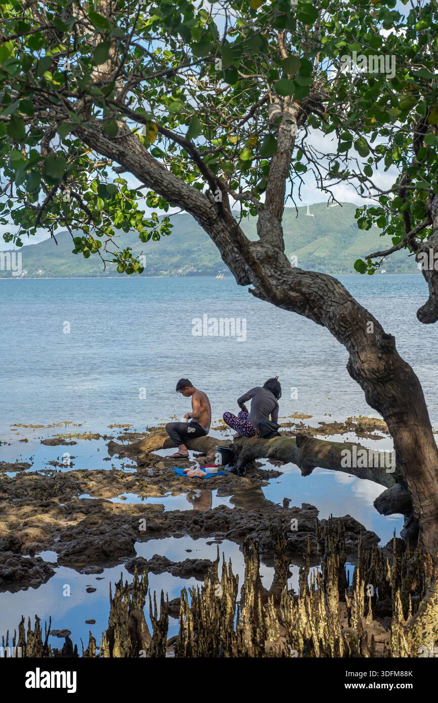 Coppia filippina che lavora sotto l'albero di mangrovie, seduta sulle sue radici, Bohol, Filippine Foto Stock
