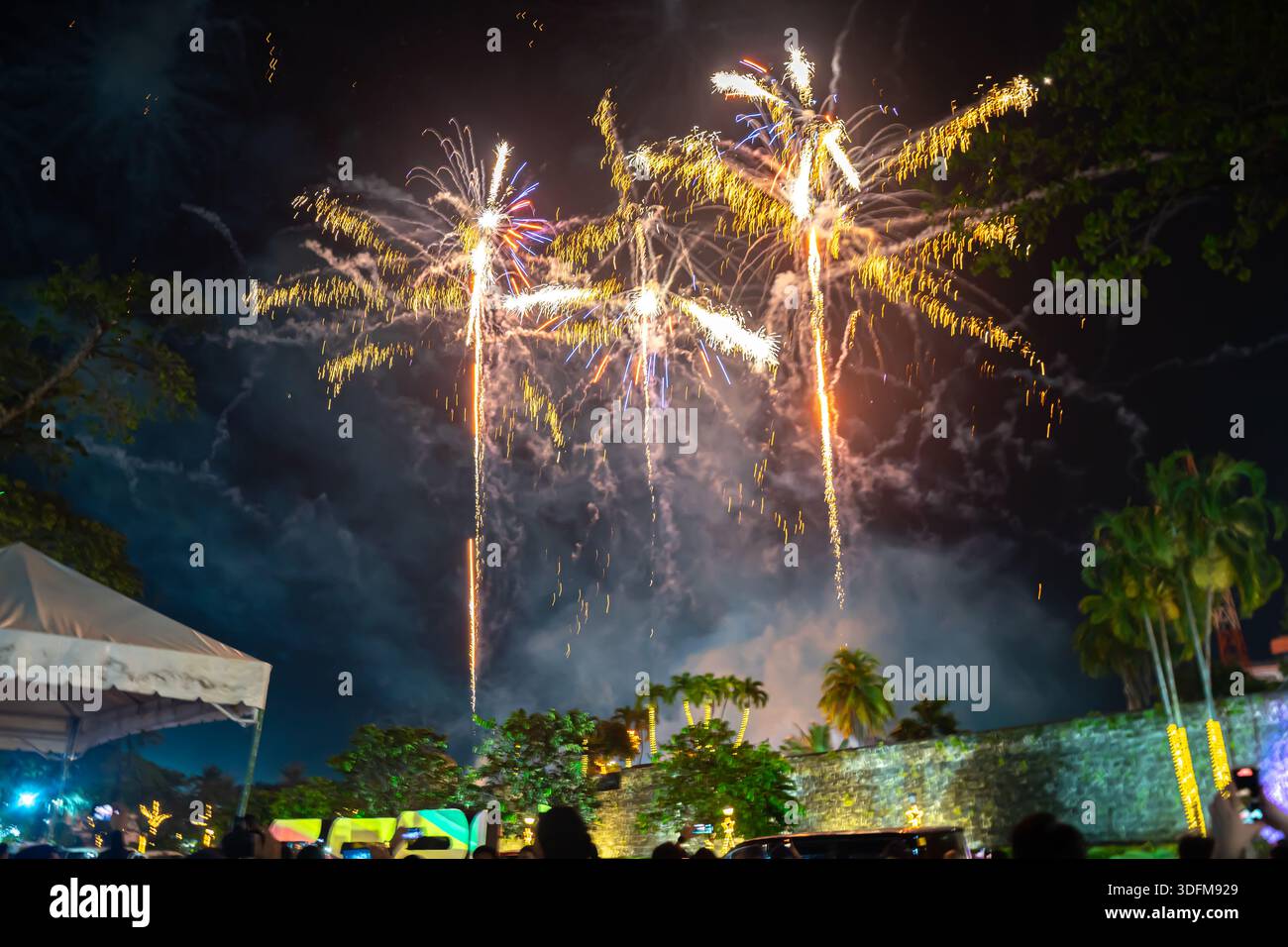 Fuochi d'artificio al parco pubblico, festeggiamenti per Capodanno, nella città di Cebu, Filippine Foto Stock