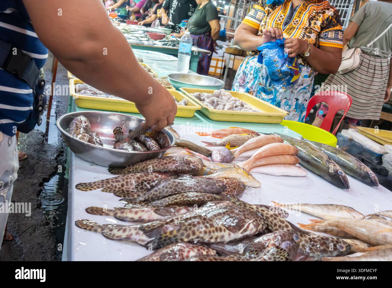 tradizionale mercato del pesce all'aperto, cebu, filippine Foto Stock