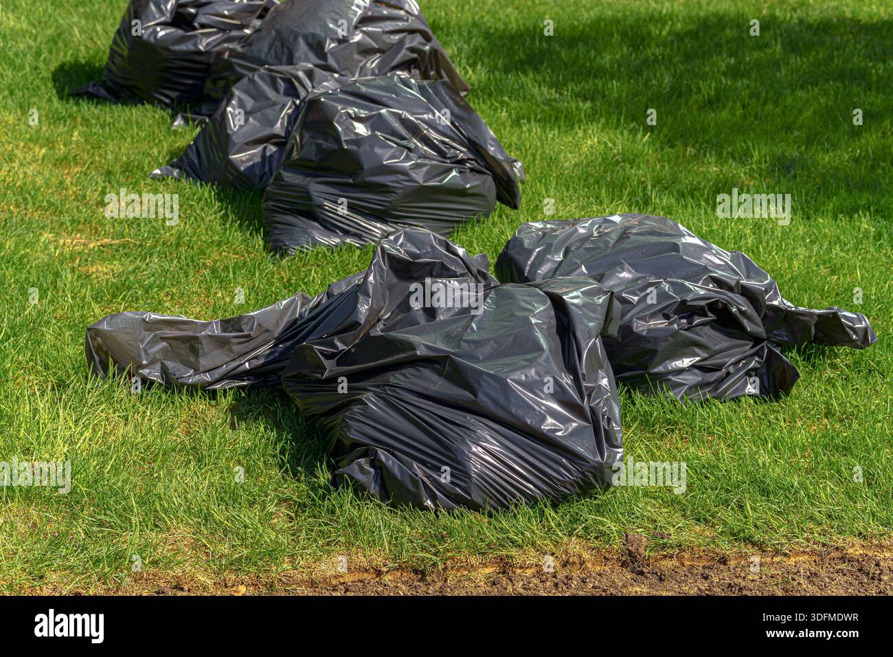 Una fila di sacchetti di plastica neri sono sull'erba. Le borse sono a terra e non sono legate. Foto Stock