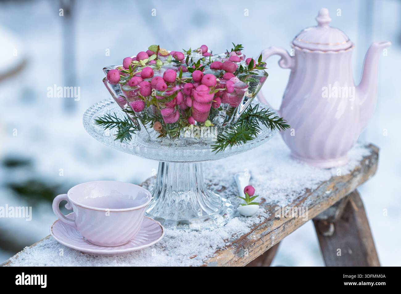torta ghiacciata con bacche di felpa d'india rosa e porcellana di tè nel giardino d'inverno Foto Stock