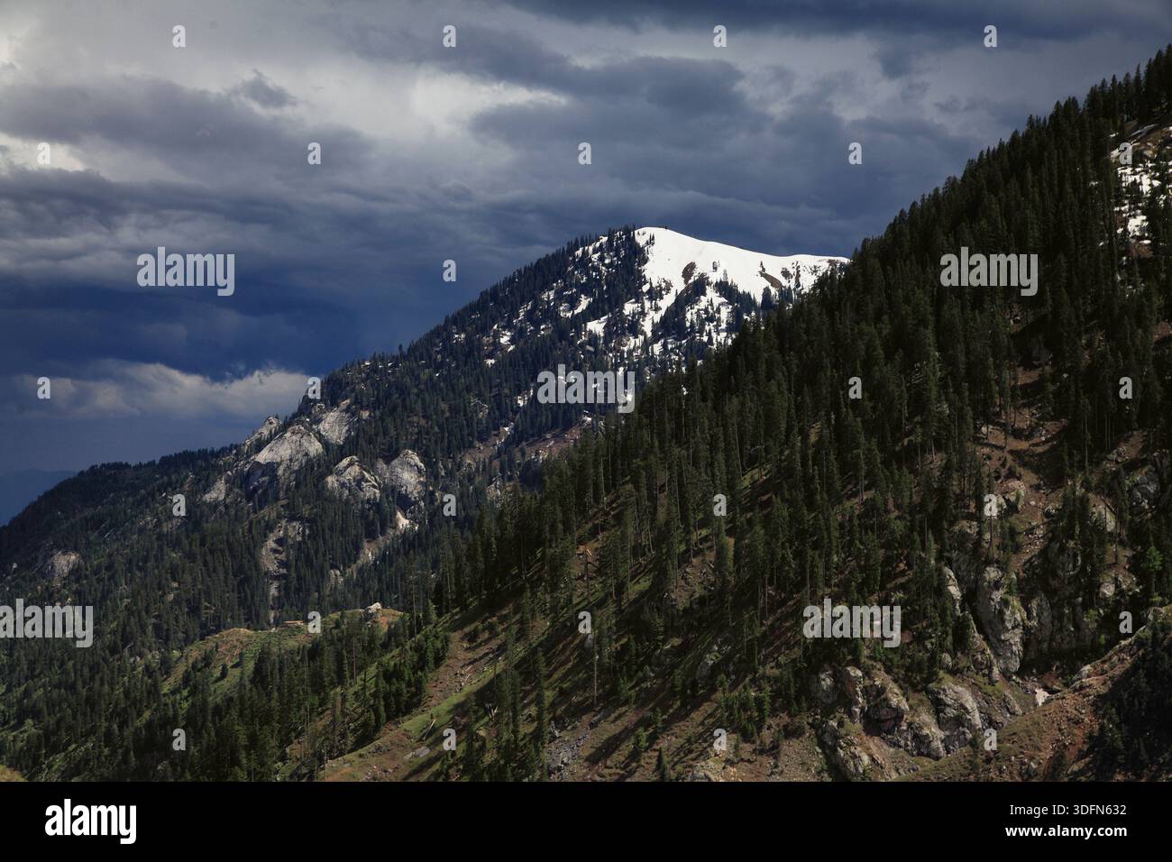 La vista delle aspre montagne ricoperte di alberi si innalza drammaticamente, alcune ricoperte di neve, contro un cielo tempestoso, creando un netto contrasto nel passo di Lowari, Khyber P. Foto Stock