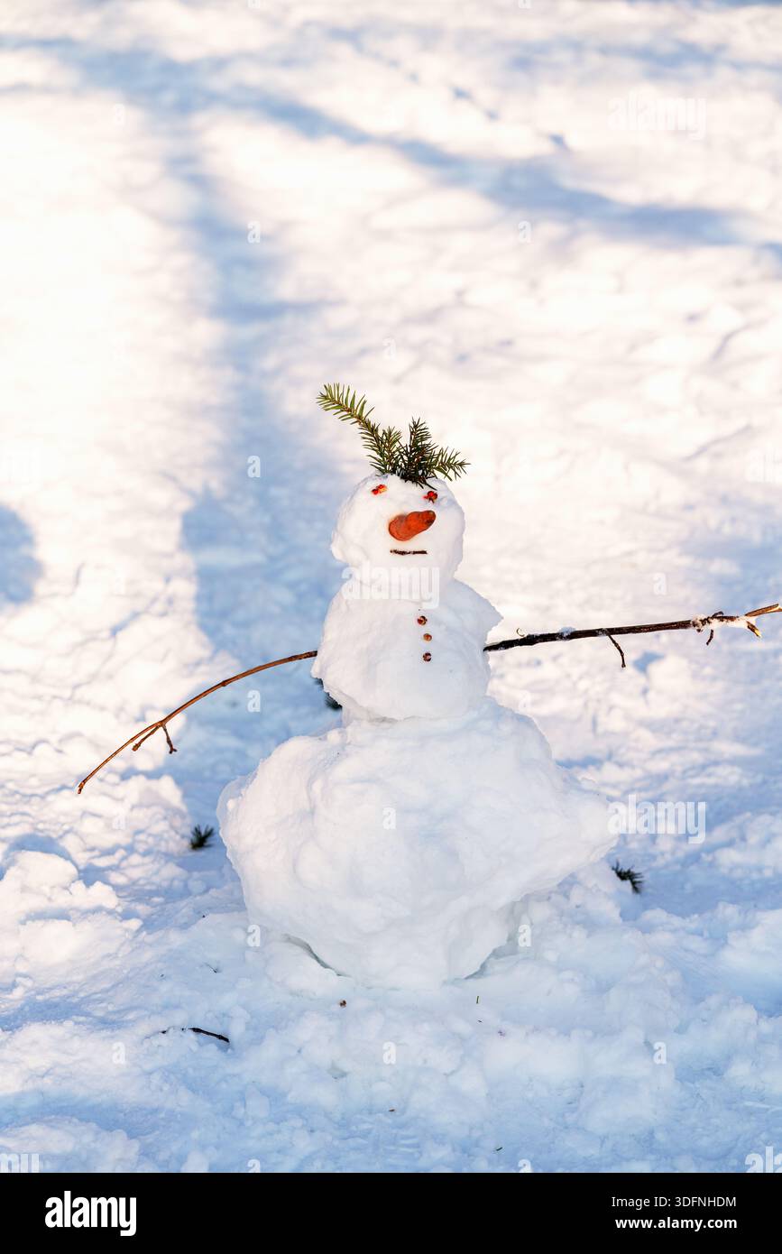 Pupazzo di neve con naso di carota all'aperto su neve bianca Foto Stock