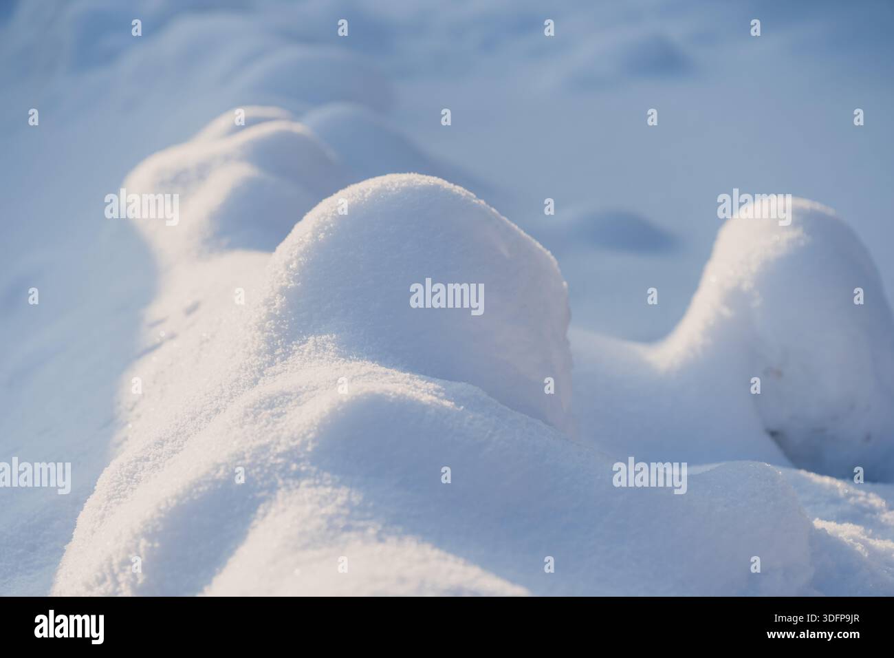 Forme fluide di neve in piena luce solare invernale, primo piano di tumuli di neve arrotondati e ombre morbide per creare un outdoo minimale dalla texture astratta del paesaggio Foto Stock