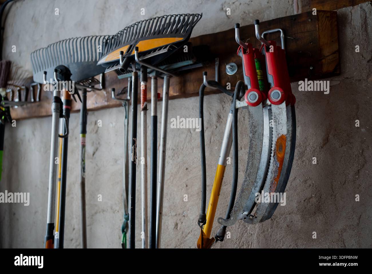 Rack per montaggio a parete, utensili per cortili con manico lungo e seghe a falce con manico rosso in capannone da giardino, attrezzature organizzate appese al bordo di legno su p Foto Stock