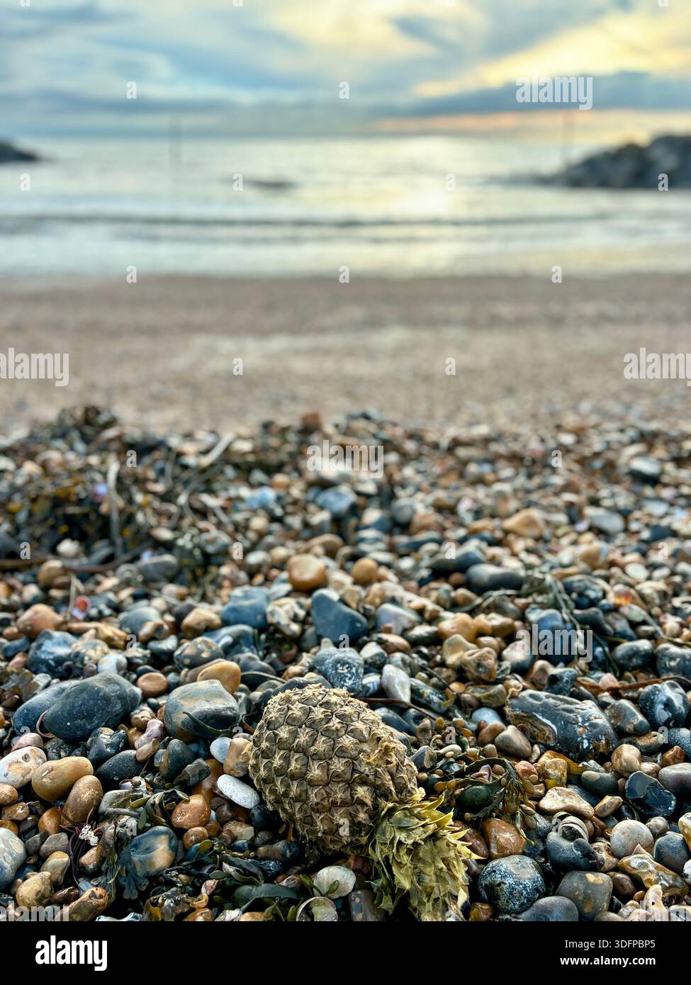Ananas e avocado sono stati lavati sulla East Sussex Beach - Immagine stock catturata con smartphone