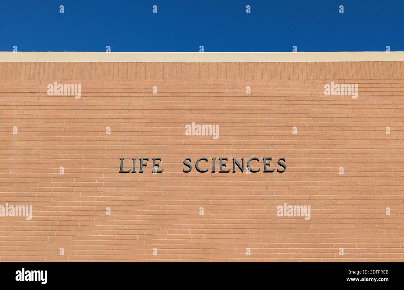Insegna del reparto Life Sciences su un muro dell'edificio in mattoni del college con spazio per le copie Foto Stock