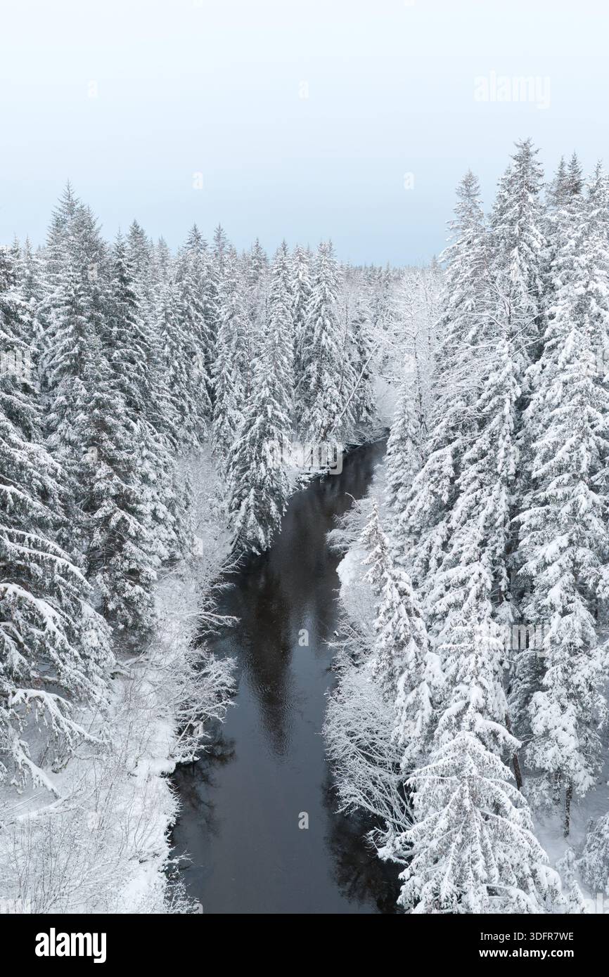 Ambientazione invernale nel sud-est dell'Alaska con foresta innevata e un fiume. Foto Stock