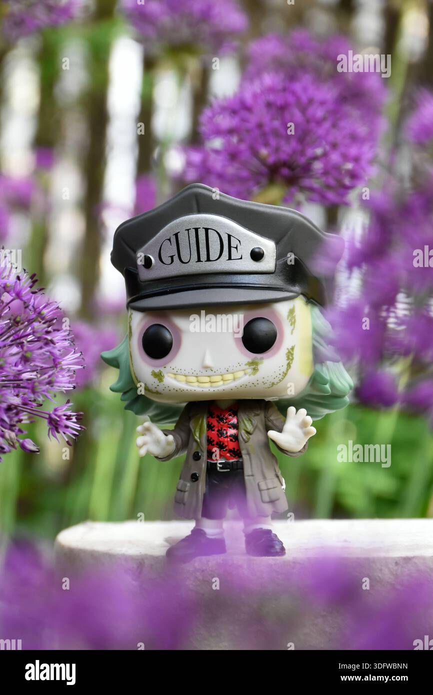 Funko Pop action figure di Beetlejuice dal film horror comico di Tim Burton. Fiori viola nel verde del giardino di primavera. Foto Stock