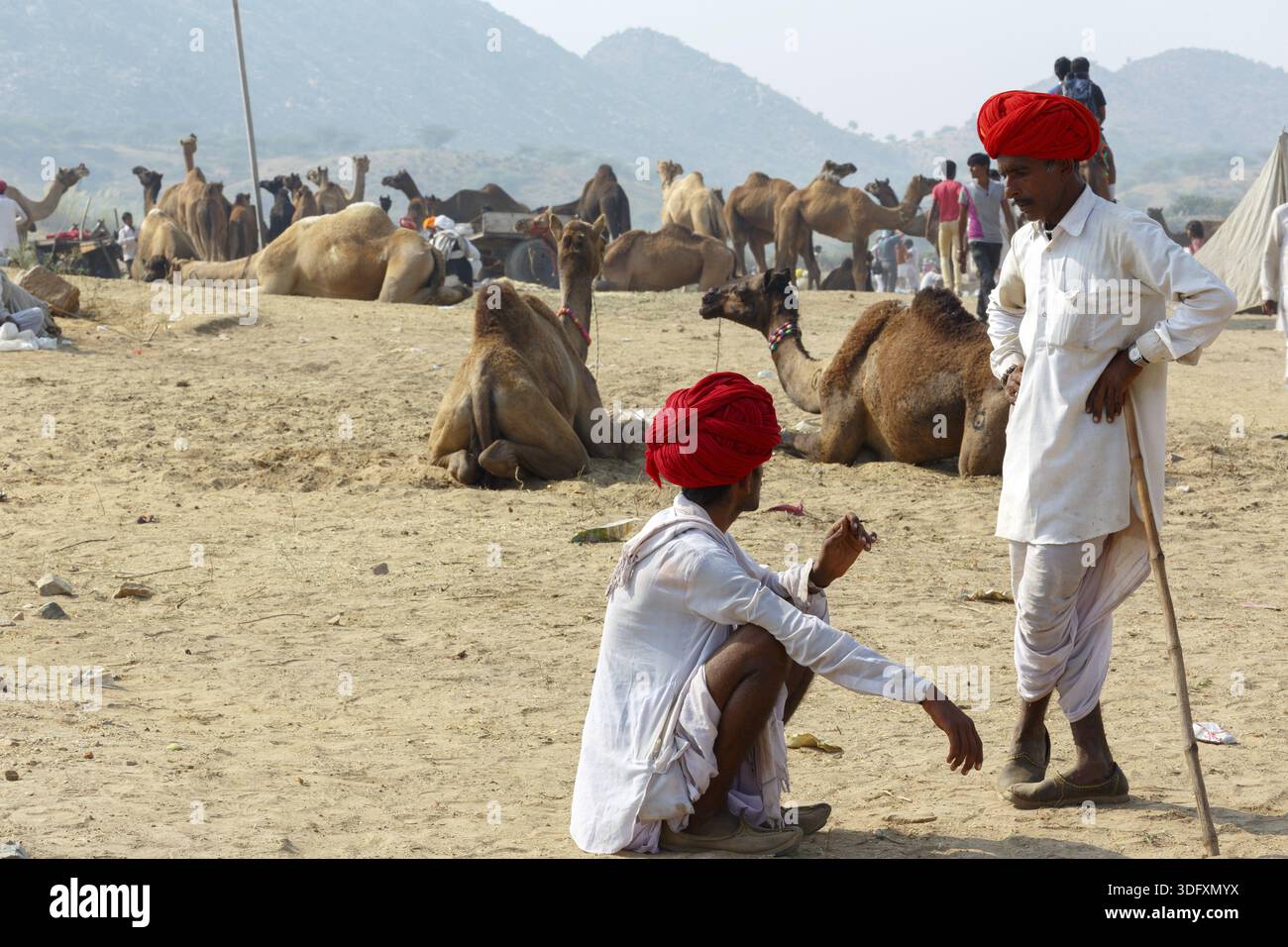 Pushkar, India - 30 ottobre 2017: Uno dei più grandi mercati di bestiame si stabilisce a Puskar ogni anno. È anche conosciuta come Pushkar Camel Fair o Pushka Foto Stock