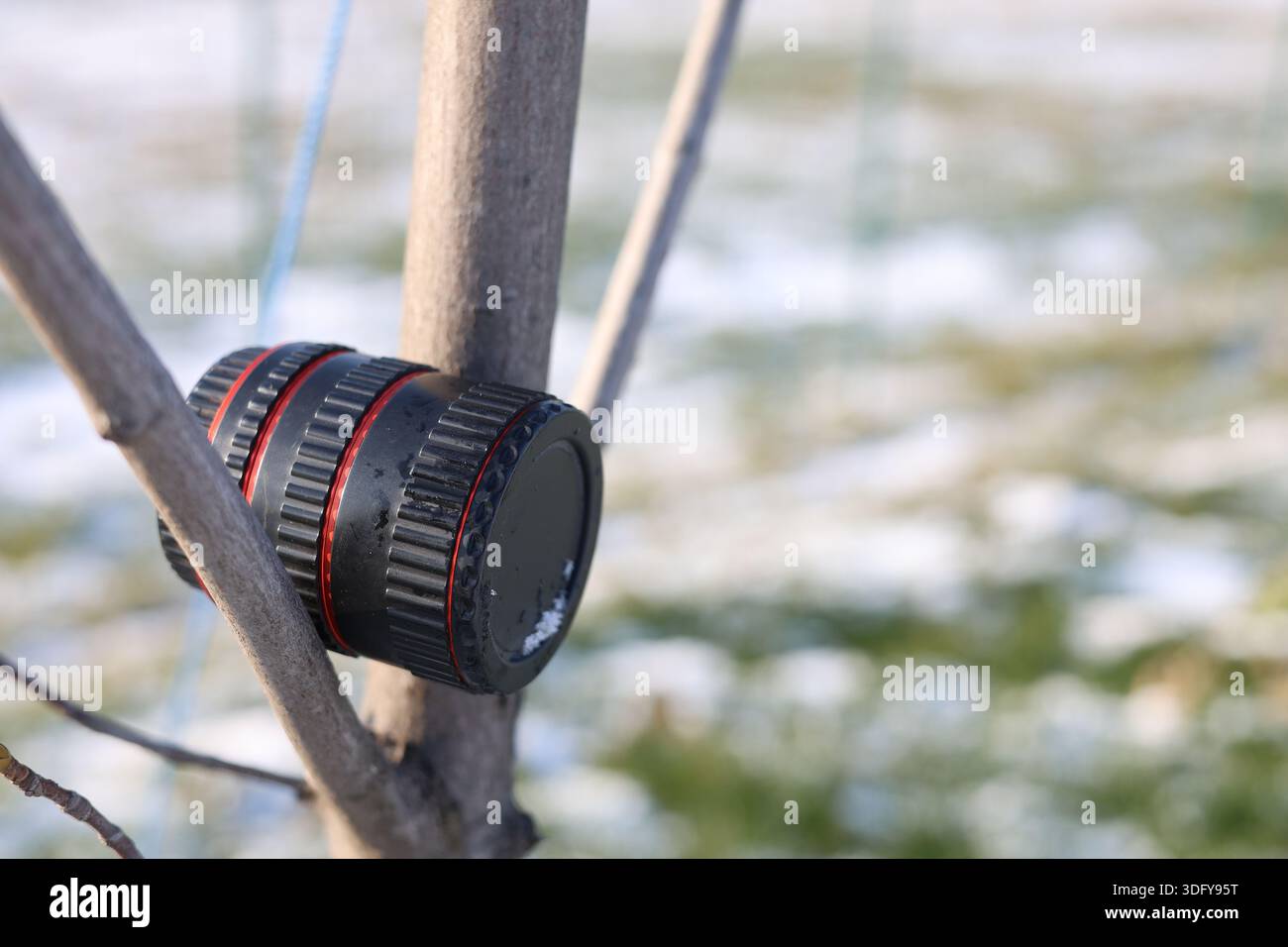 Prolunga per obiettivo fotografico per macro fotografia, strumento per fotografo Foto Stock