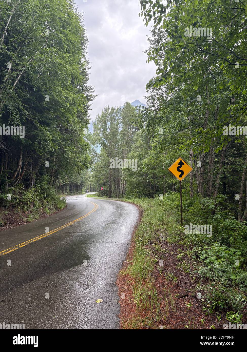 Godendosi la strada meno percorsa. Ci godiamo il blacktop e la ghiaia. - Immagine stock catturata con smartphone