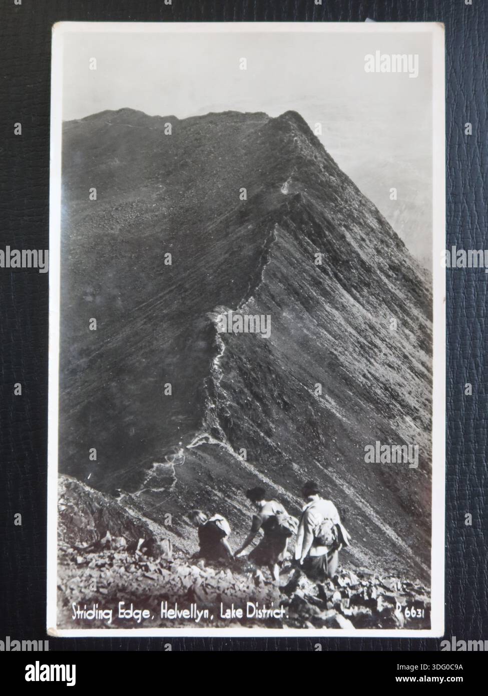 Una cartolina in bianco e nero che mostra una vista panoramica degli escursionisti su Striding Edge, Helvellyn nel Lake District; datata sul retro 1955 per una gita scolastica. Foto Stock