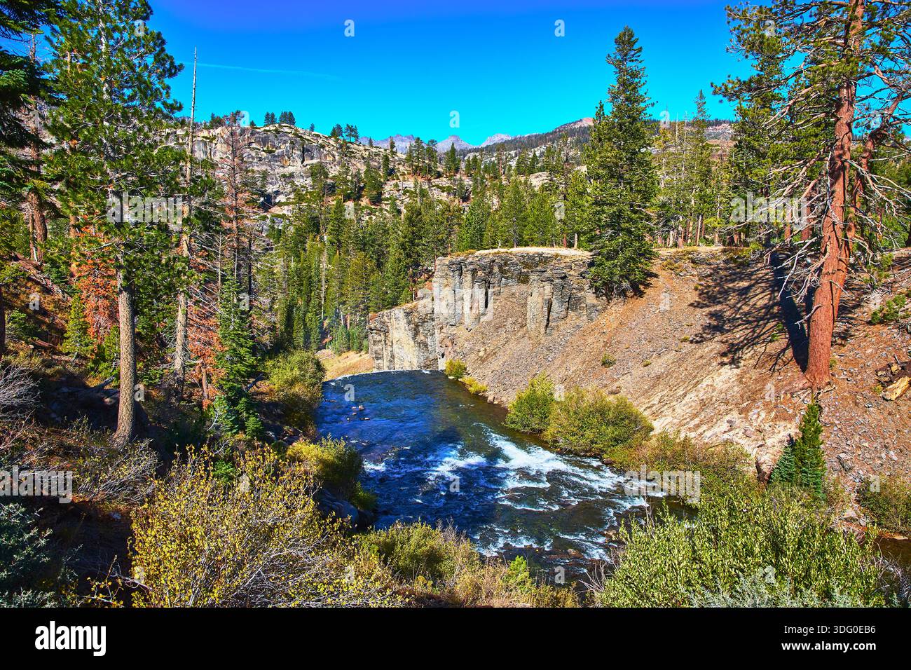 Devils Postpile River Canyon e Pine Forest sotto Clear Blue Sky in California Foto Stock