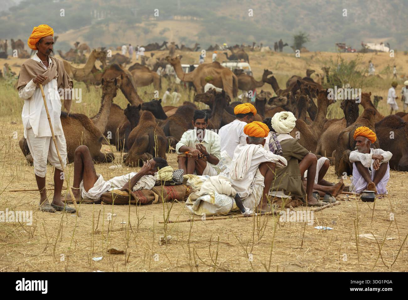 Pushkar, India - 30 ottobre 2017: Uno dei più grandi mercati di bestiame si stabilisce a Puskar ogni anno. È anche conosciuta come Pushkar Camel Fair o Pushka Foto Stock