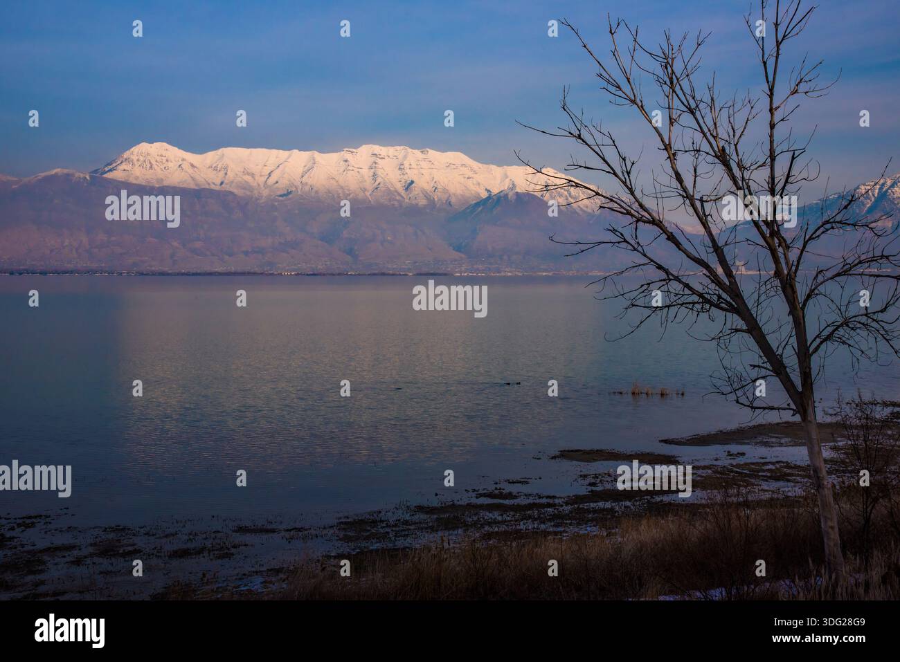 Alba a Utah Lake, Provo, Utah, Stati Uniti. Questo grande lago poco profondo offre l'opportunità di fotografare splendide albe e tramonti. Foto Stock