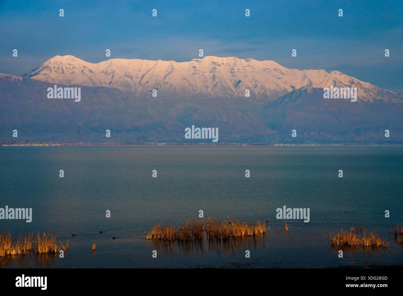 Alba a Utah Lake, Provo, Utah, Stati Uniti. Questo grande lago poco profondo offre l'opportunità di fotografare splendide albe e tramonti. Foto Stock