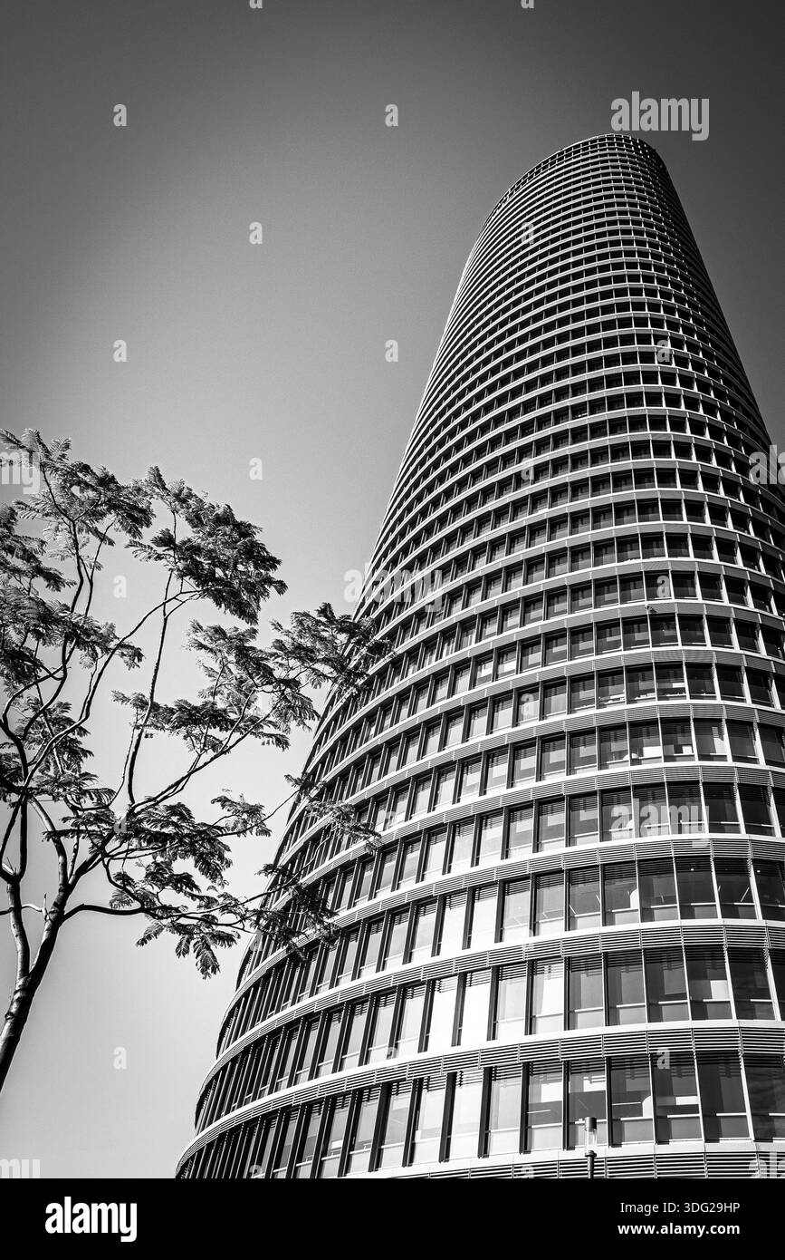 Alto edificio moderno e curvo, catturato da una prospettiva bassa, con rami d'albero in primo piano che creano un contrasto Foto Stock
