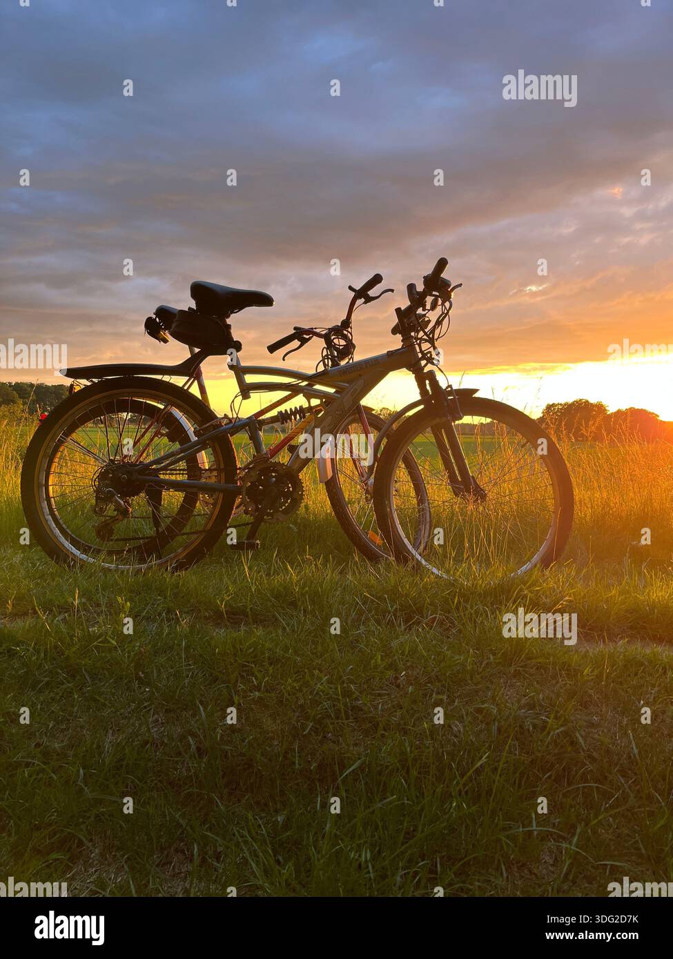 Golden Hour Escape: Inseguendo il tramonto su due ruote Un tranquillo giro serale attraverso i prati, catturando il perfetto bagliore dell'ora d'oro. - Immagine stock catturata con smartphone
