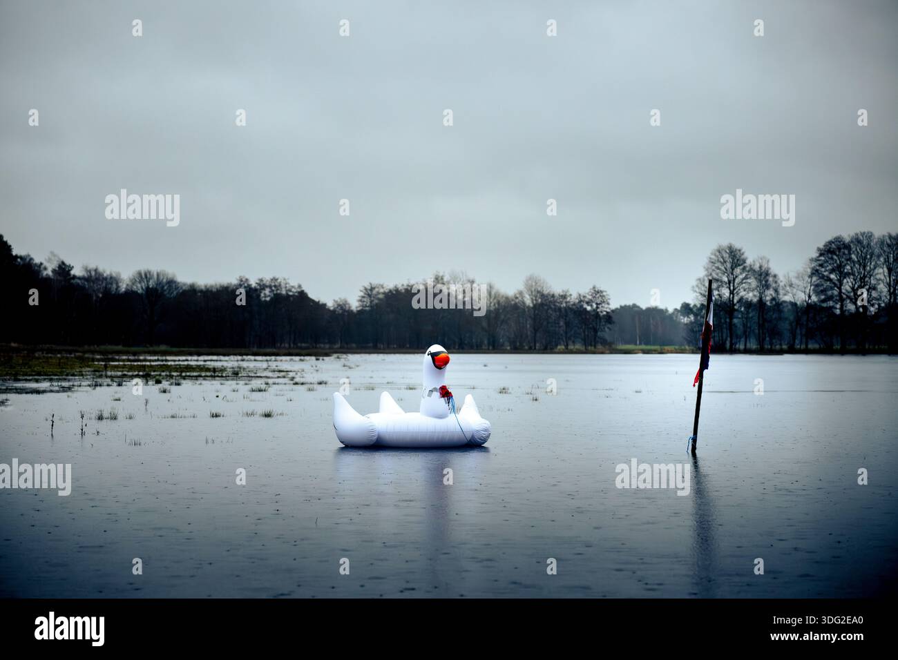 Un galleggiante di cigno bianco gonfiabile si trova da solo su un lago calmo e nebbioso sotto un cielo grigio, con un unico indicatore di bandiera nelle vicinanze. Foto Stock