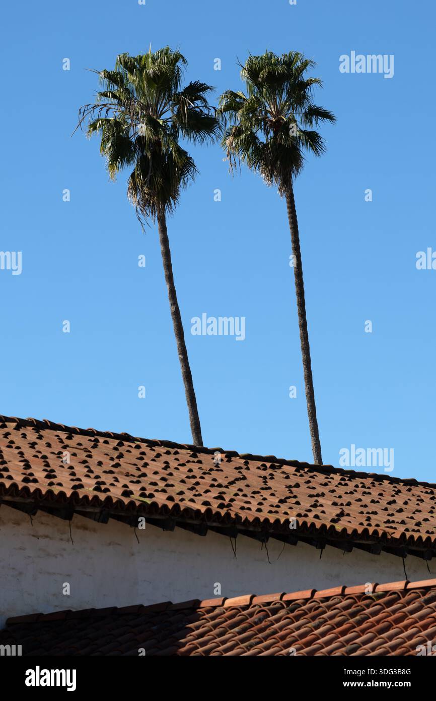 Due alte palme che si innalzano sopra un tetto di tegole di argilla rossa contro un cielo blu limpido, mostrando l'architettura in stile spagnolo a Santa Barbara, California, Stati Uniti. Foto Stock