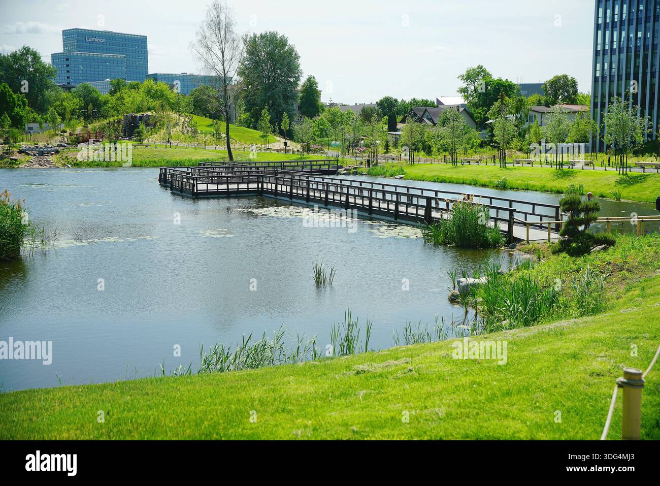 Giardino di roccia giapponese gratuito a Vilnius con laghetto e fiori di rododendro e cascata artistica. Gratuito Foto Stock