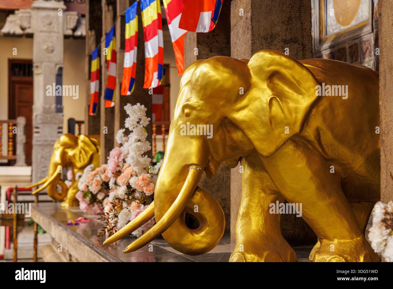 Statua dell'Elefante d'Oro all'interno del Tempio della reliquia del Sacro dente (Sri Dalada Maligawa), Kandy, Sri Lanka Foto Stock
