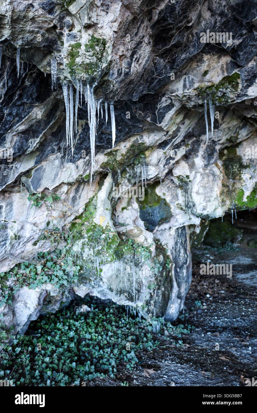Una scena invernale che mostra gocce congelate trasformate in ghiaccioli su rocce grotta testurizzate e piante. Foto Stock