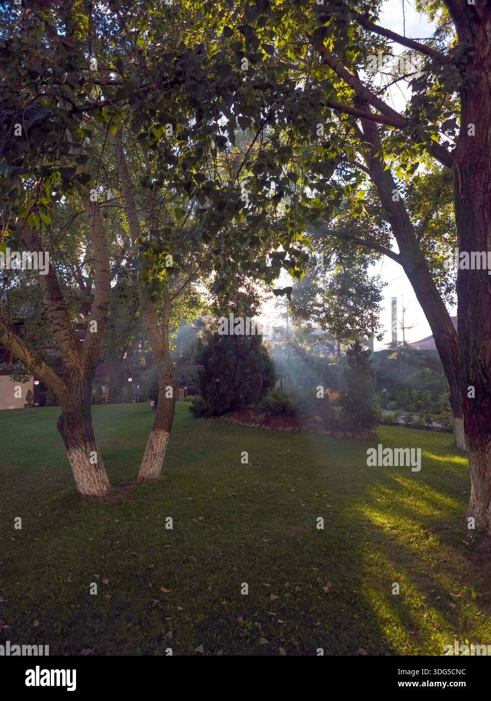 I raggi luminosi del sole splendono tra gli alberi verdi nel tranquillo parco cittadino. Distretto di Darnytskyi, Kiev, Ucraina. Atmosfera serale estiva e natura in città - Immagine stock catturata con smartphone