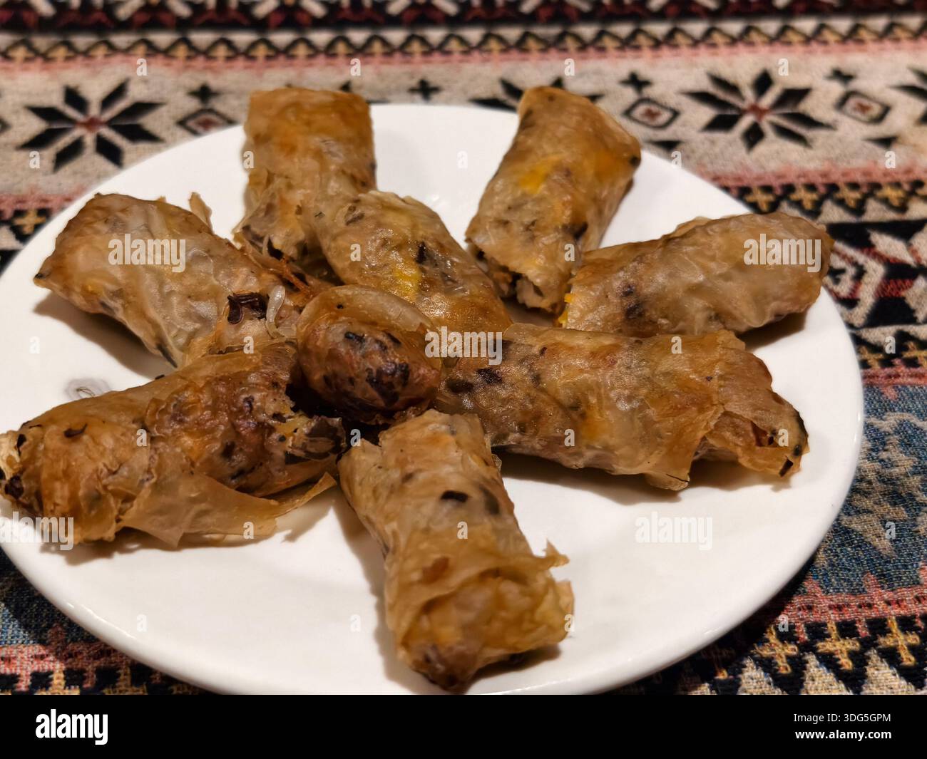 Diversi pezzi di involtini primavera fritti con un ripieno di carne macinata, gamberi e verdure Foto Stock