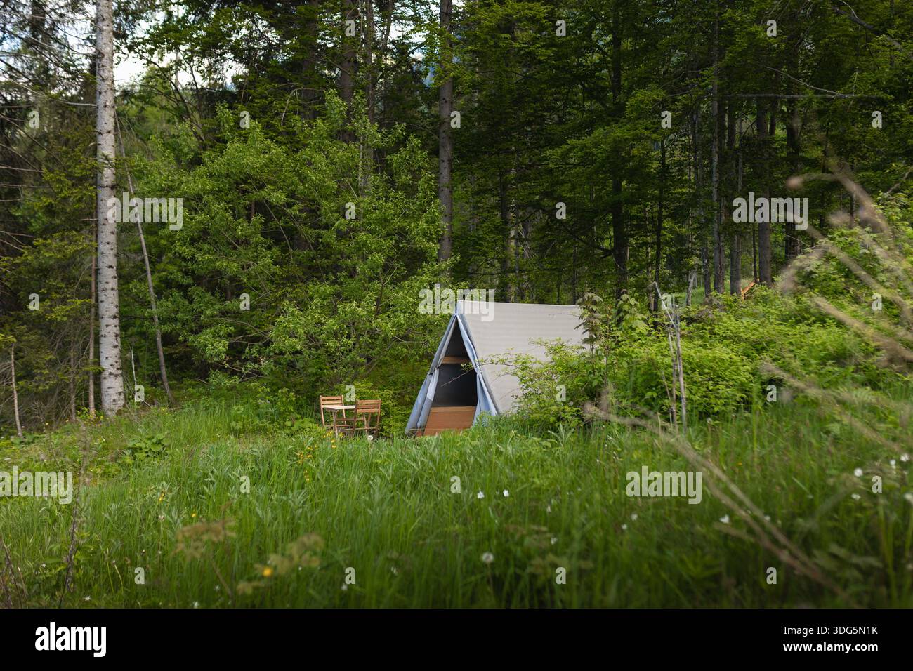 Soggiorno di lusso in una tenda glamping immersa nella natura. Esperienza in campeggio ecologica ed elegante. Foto Stock