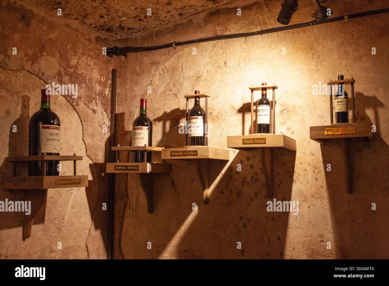 Vasche di vino sotterranee in cemento presso la Zandvliet Wine Estate, sede del South African Shiraz, Ashton, Robertson Wine Valley, Western Cape Winelands. Display Foto Stock