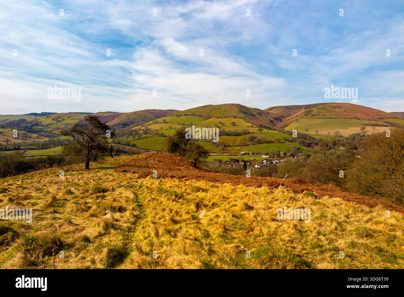 Paesaggio con alberi all'inizio della primavera a Ragleth Hill vicino a Church Stretton nelle Shropshire Hills Inghilterra Regno Unito con il Long Mynd in lontananza. Foto Stock