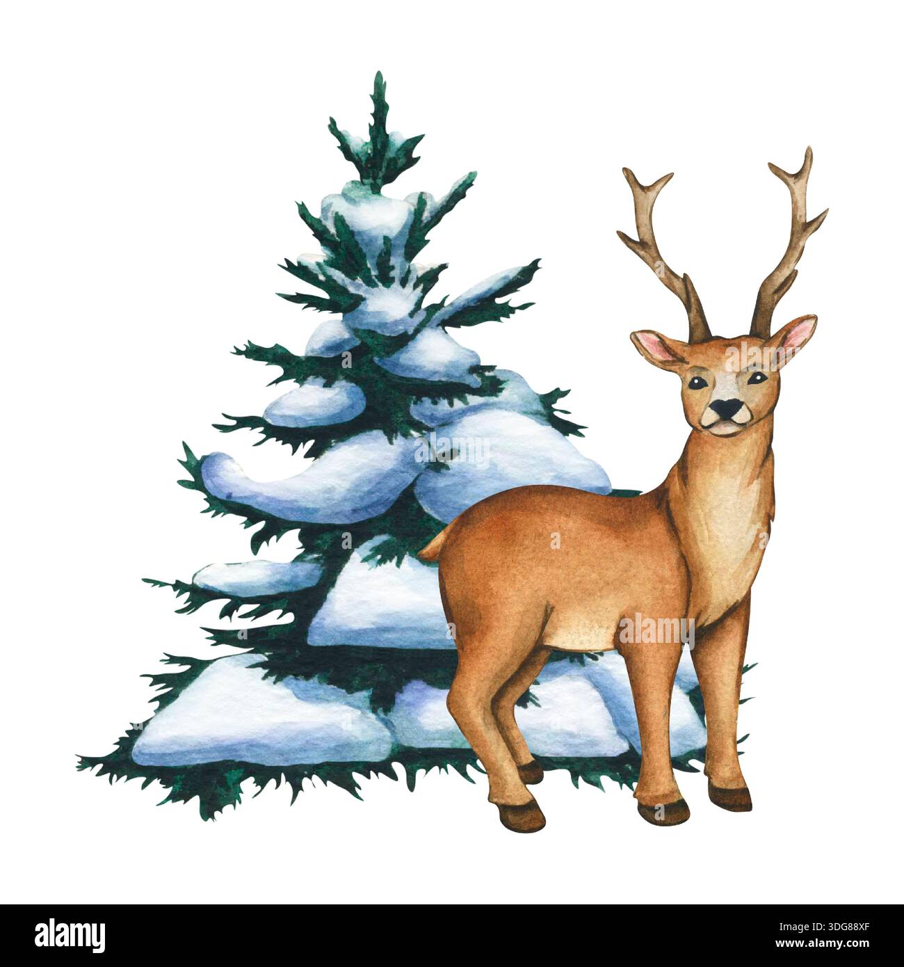 9 Elfo - Just Color Bambini : Disegni da colorare per bambini (Gratuito